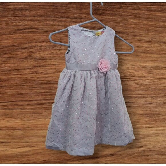 Penelope Mack Girls 4T silver purple Dress W/ Pink Sequins & Flower Accent Tulle - Picture 1 of 8